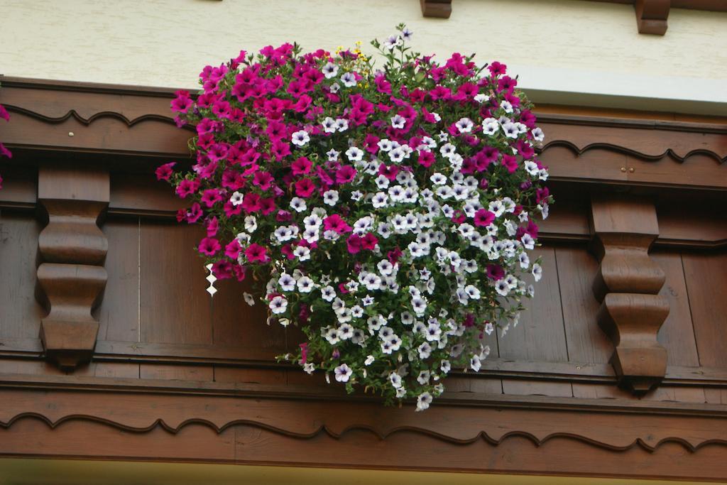 Gaestehaus Kuebler Экстерьер фото